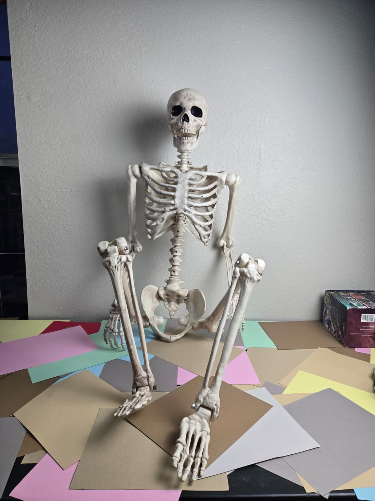 Poseable Skeleton Decoration and Anatomy-Style Model